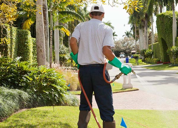 About Umpire AR Pest Control Pros